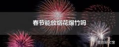 春节能放烟花爆竹吗