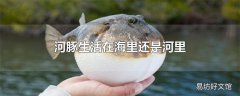 河豚生活在海里还是河里